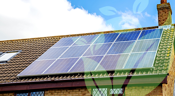 Net Zero Framework Support01 Net Zero Framework Support01